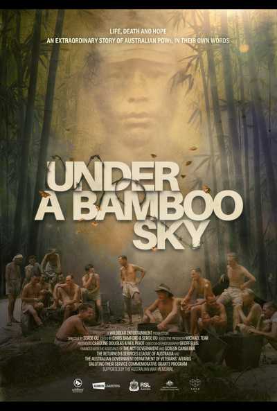 Under A Bamboo Sky